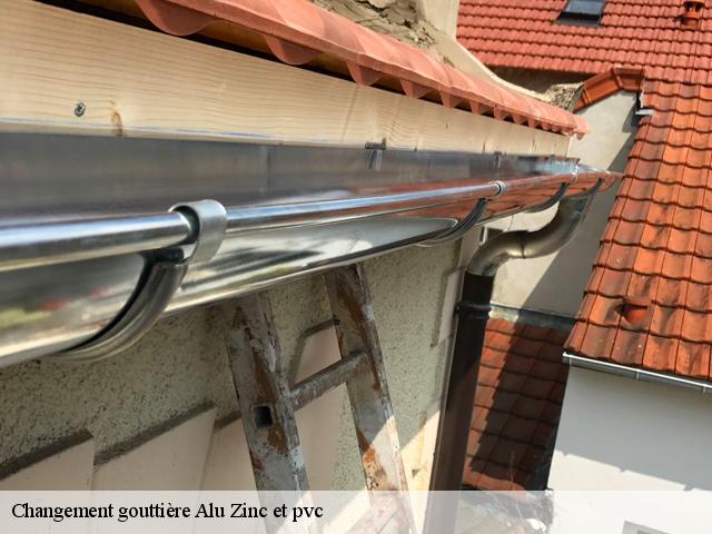 Changement gouttière Alu Zinc et pvc