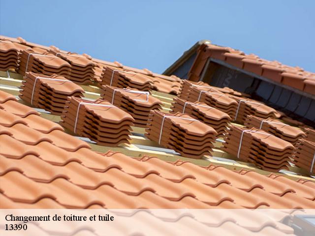 Changement de toiture et tuile 13390