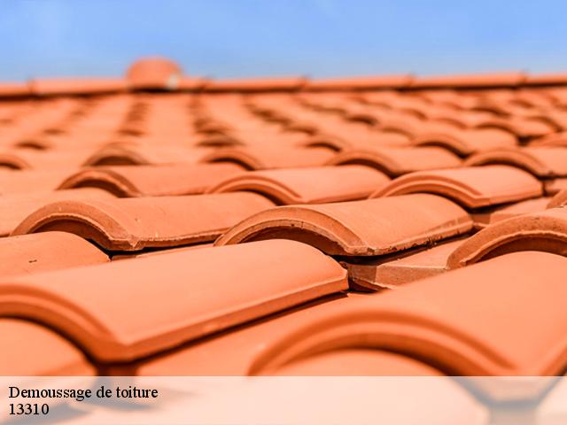 Demoussage de toiture 13310